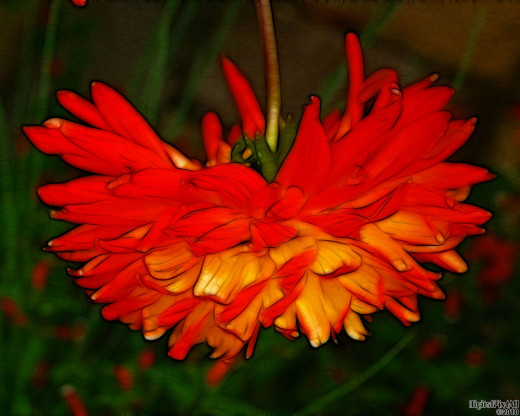 18496 (a): :1280x1024